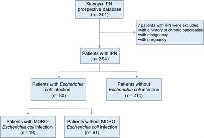 Escherichia coli infection indicates favorable outcomes in patients with infected pancreatic necrosis